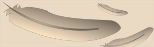 blog_post_feathers