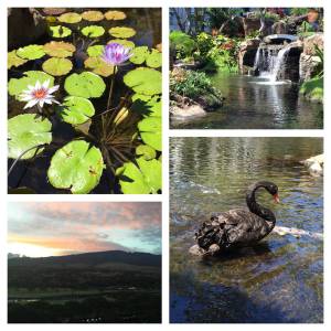 11057778_10205564039714362_864818537930958266_n