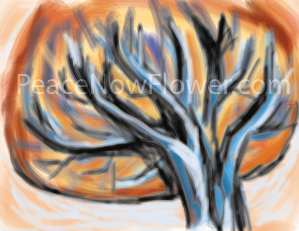 orange_tree(water