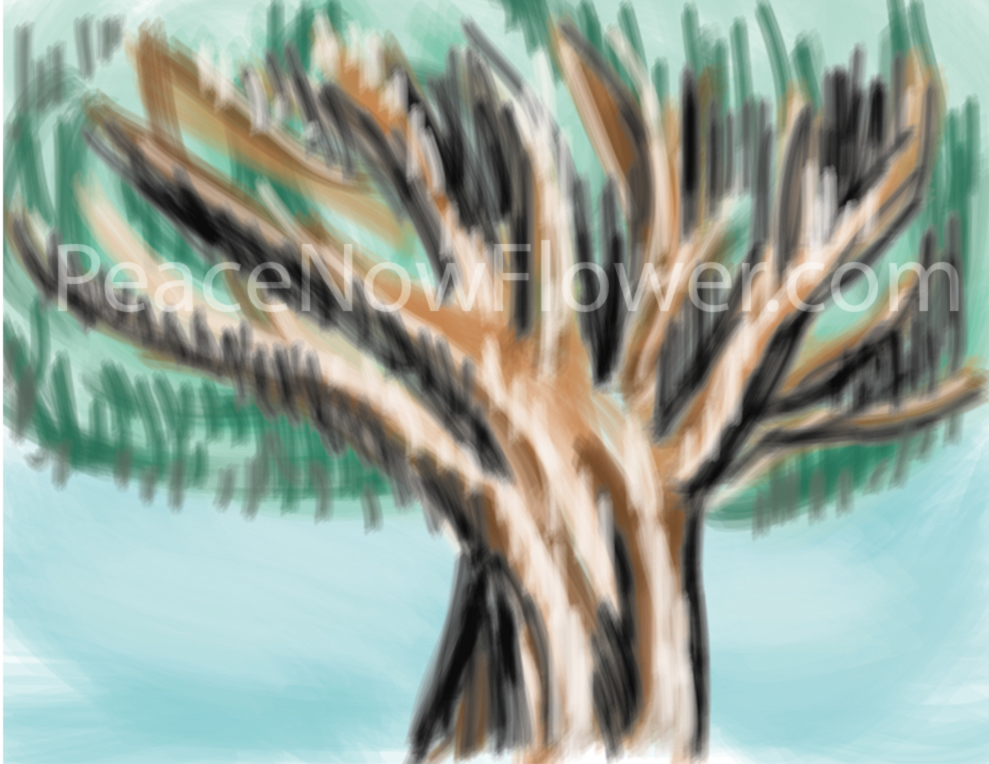 tree)water