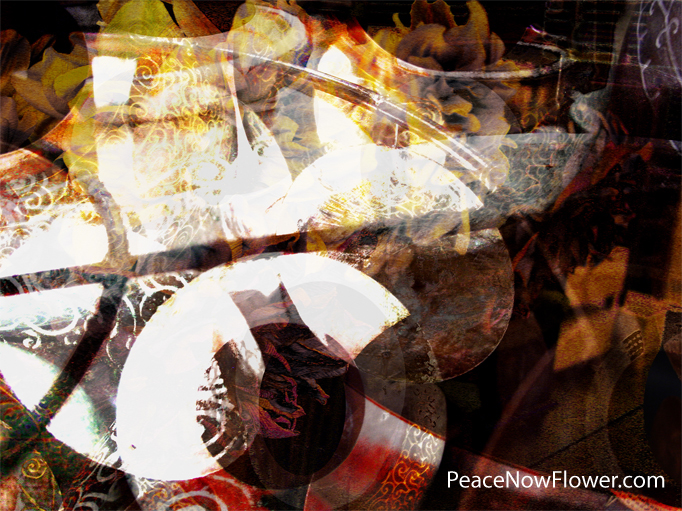 flowercircle
