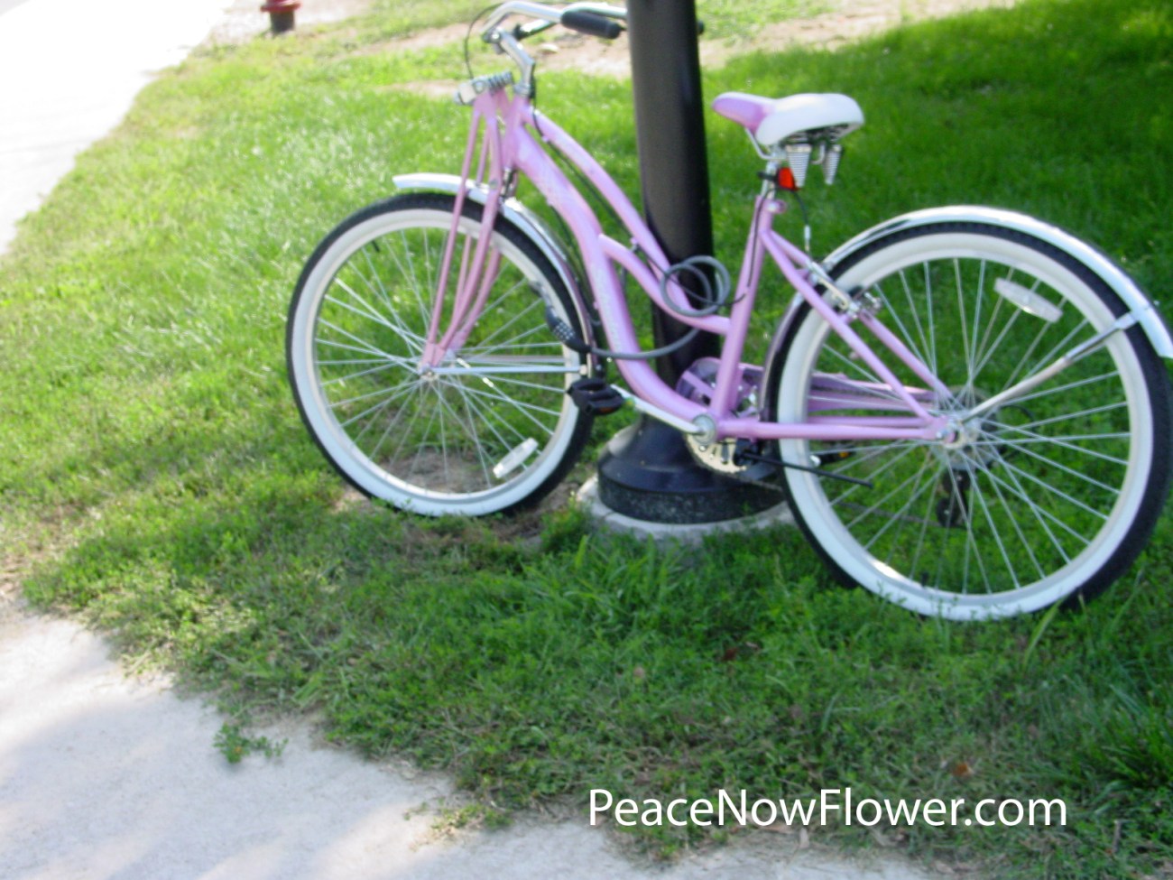pink_bike